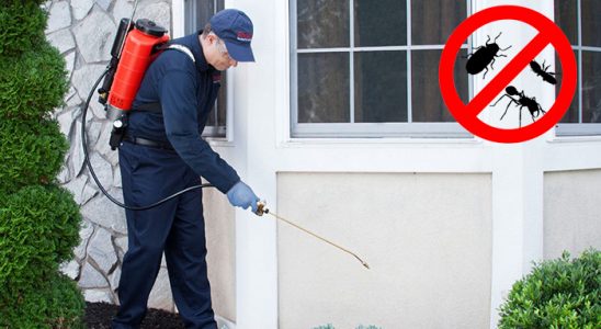 Çayıralan Akrep İlaçlama böcek ilaçlama ve haşere kontrolü — ilaclama-tr.com